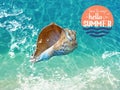 Summer background seashell on sea wave blue marine water splash template background lettering copy space banner Royalty Free Stock Photo
