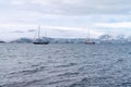 Sea Antarctica iceberg coast in Antarctica South pole