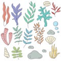 Sea and aquarium algae shells and stones vector illustration set Royalty Free Stock Photo