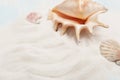 Sea background with white sand and blue painted wood, starfish, shells Royalty Free Stock Photo