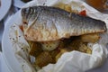 Sea bass fillet on a greek taverna Royalty Free Stock Photo