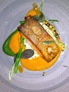 Sea bass fillet with mango-spinach sauce on a gray earthenware dish Royalty Free Stock Photo