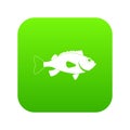 Sea bass fish icon digital green