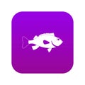 Sea bass fish icon digital purple