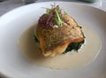Sea bass fish on spinach . White Wine sauce . Delicious. Royalty Free Stock Photo