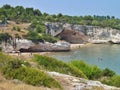 Sea bay with white cliffs, forest and beaches