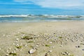 Sea and beach, beautiful landscape. shells