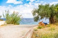 Sea beach boat olive tree Mediterranean view, Greece Royalty Free Stock Photo