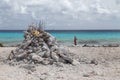 Sea beach coast tropical Bonaire island Caribbean sea