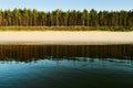 Sea, beach and evergreen coniferous Scots pine tree forest. Royalty Free Stock Photo