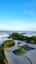 Sea beach, green moss-covered rocks, fine white sand, blue sea, clear sky Royalty Free Stock Photo