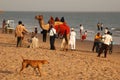 Sea Beach of Gujarat