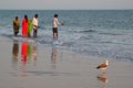 Sea Beach of India