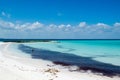 Sea beach, Isla Mujeres, Mexico Royalty Free Stock Photo