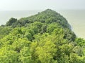 sea beach mountain or hill with trees