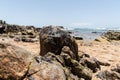 The sea beach and the rocks are polluted with oil