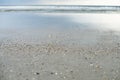 Sea beach shells blue sky sand sun daylight relaxation landscape view