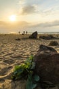 Sea beach, silhouettes of girls in the background, swimming at dawn, waves, sea foam, storm, summer season Royalty Free Stock Photo