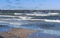 Sea, beach, sky, water, travel, seagull, flying, bird, coast, baltic