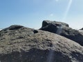 Beach stones black huge