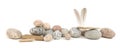 Sea smooth oval pebbles, driftwood and feathers isolated on white background. Royalty Free Stock Photo