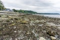 Sea Bed At Low Tide 2 Royalty Free Stock Photo