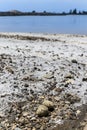 Sea bird eggs on the ground nest in the Natural Salt Flats, Spain Royalty Free Stock Photo