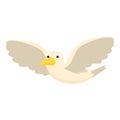 Sea bird fly icon cartoon vector. Port flight