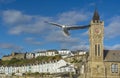 Sea bird flying over Porthlevan fishing port Royalty Free Stock Photo