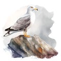 Sea bird, seagull standing on stones against the background of the sea, watercolor