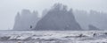 Sea bird seagulls flying in the fog around james island on rialto beach la push washington pacific northwest