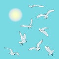 Sea birds, gulls in flight