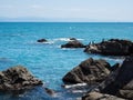 Sea birds sitting on rocks at Katsurahama beach - Kochi, Japan Royalty Free Stock Photo