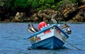 Sea birds on Tobago.