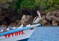 Sea birds on Tobago.