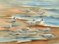 Sea birds watercolor landscape Royalty Free Stock Photo
