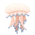 Sea blue and beige jellyfish. Tropical underwater animal. Medusa aquatic organism, cartoon style design. Flat  illustration Royalty Free Stock Photo