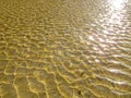 Sea bottom texture, yellow sand waves in shallow water. Royalty Free Stock Photo