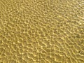 Sea bottom texture, yellow sand waves in shallow water. Royalty Free Stock Photo