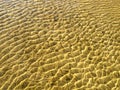 Sea bottom texture, yellow sand waves in shallow water. Royalty Free Stock Photo