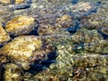 Sea bottom through the water surface Royalty Free Stock Photo