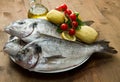 Sea bream