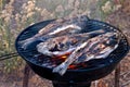 Sea Bream Fish Grilling On BBQ Royalty Free Stock Photo