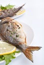 Sea Bream fish with vegetables Royalty Free Stock Photo