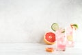 Sea Breeze citrus cocktail Royalty Free Stock Photo