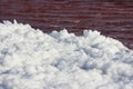 Sea bubble foam of the red salt lake, Namibia