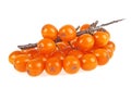 Sea buckthorn berries branch on white background Royalty Free Stock Photo