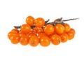 Sea buckthorn berries branch on white background Royalty Free Stock Photo