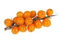 Sea buckthorn berries branch on white background Royalty Free Stock Photo