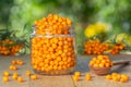 Sea buckthorn berries in a glass jar on a wooden table Royalty Free Stock Photo